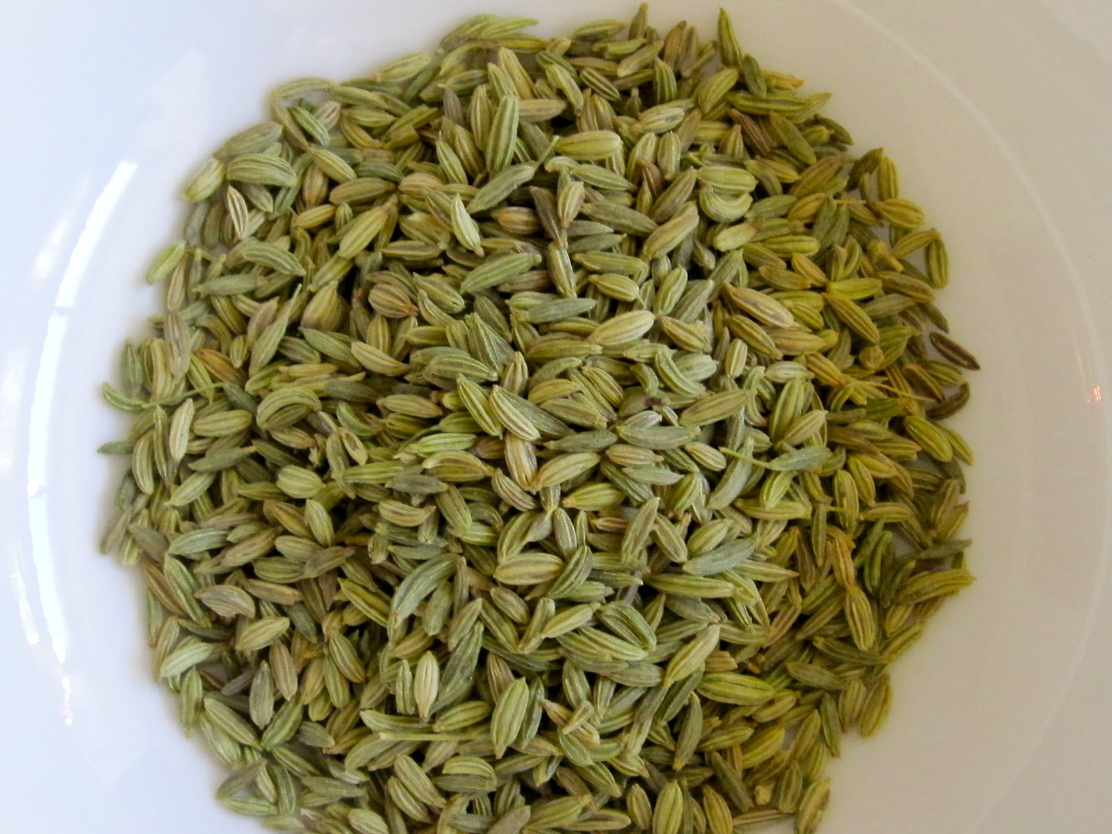 Canning Granny Herbal Medicine Part 3 A Bitter Herb to Swallow