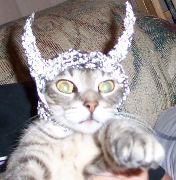 cat+tin+hat.bmp