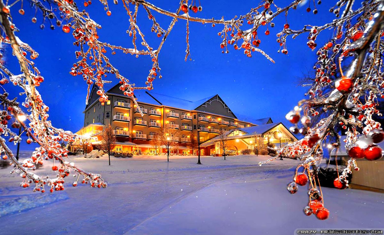 Winter Nature wallpapers   Crazy Frankenstein