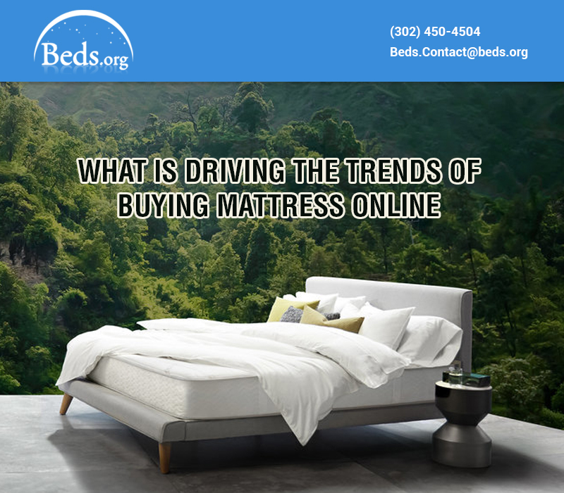 Best Online Mattress & Beds Reviews