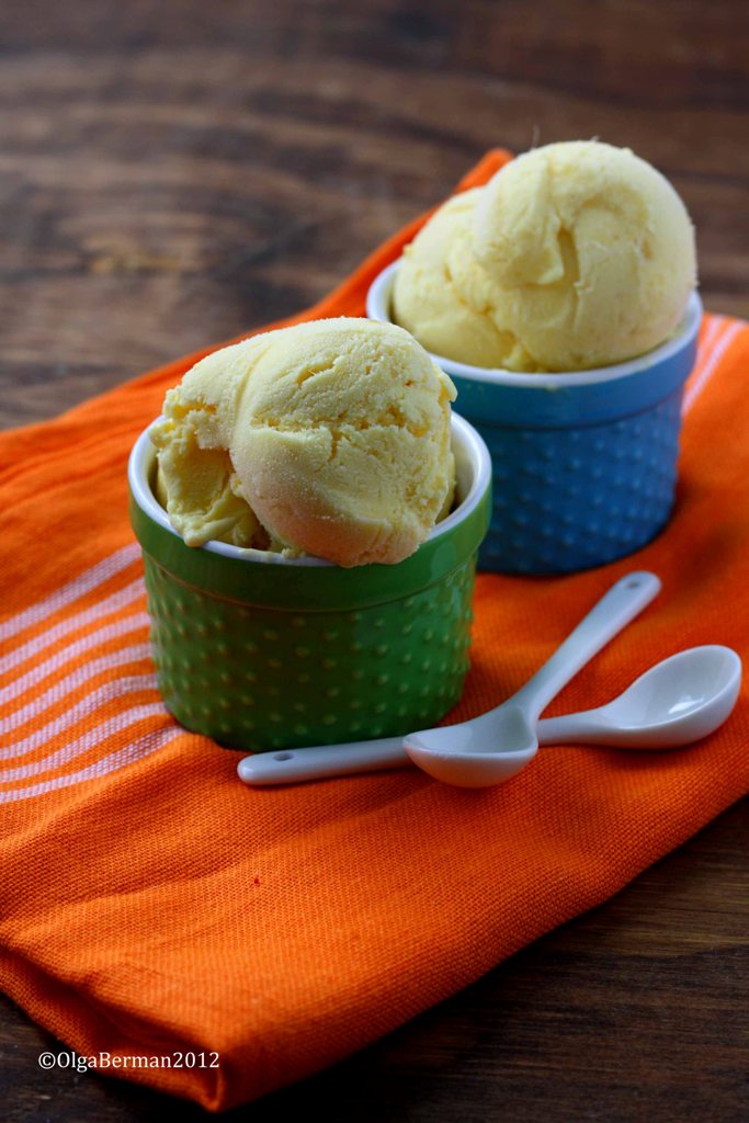 Mango & Tomato Easiest Ice Cream Recipe EVER Mango & Nectarine Ice
