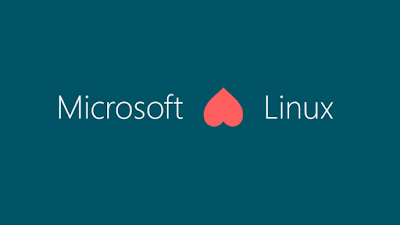 Microsoft eìts Linux 1
