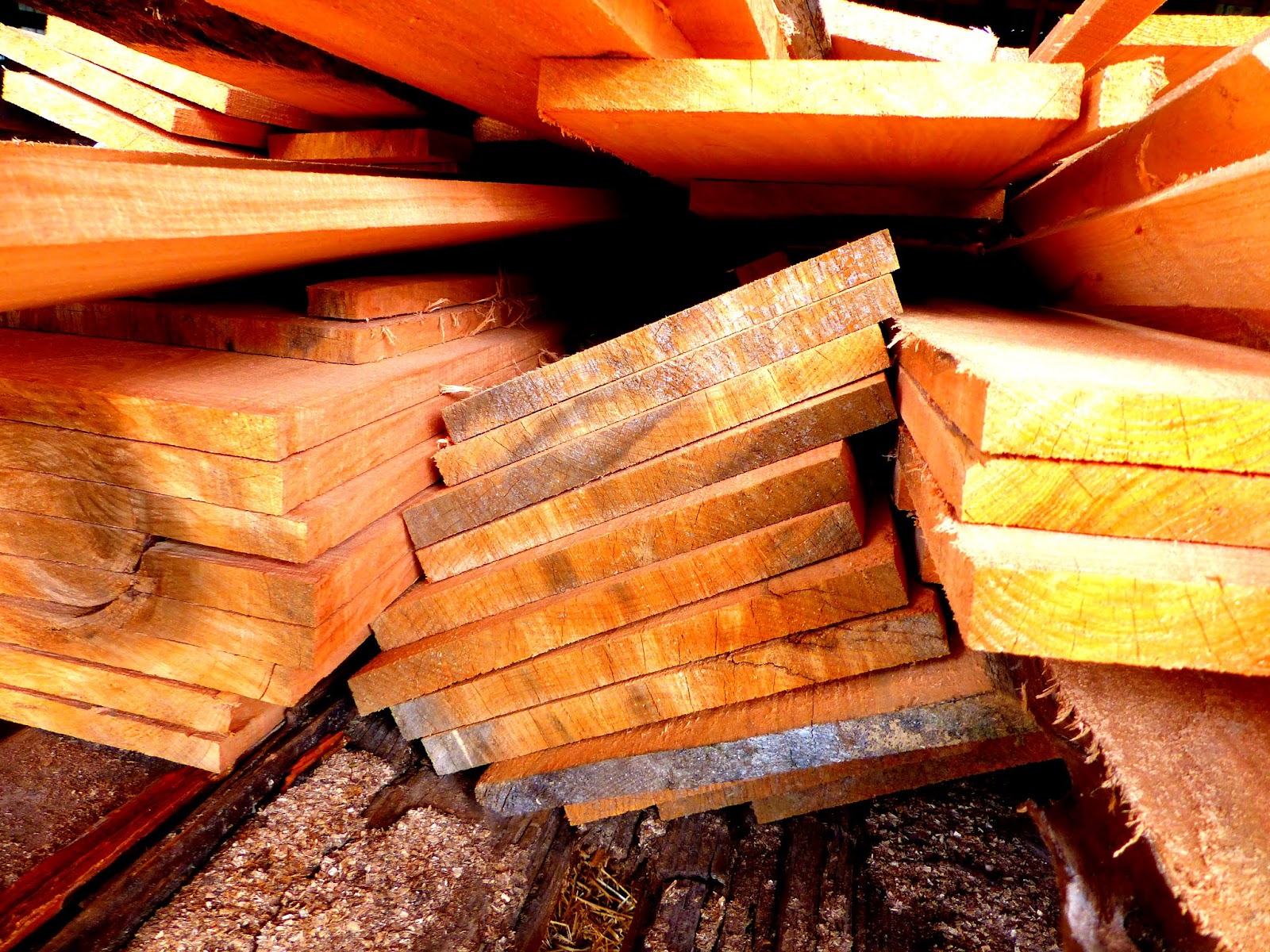 River Resources JUNIPER LUMBER and BATS BATS?