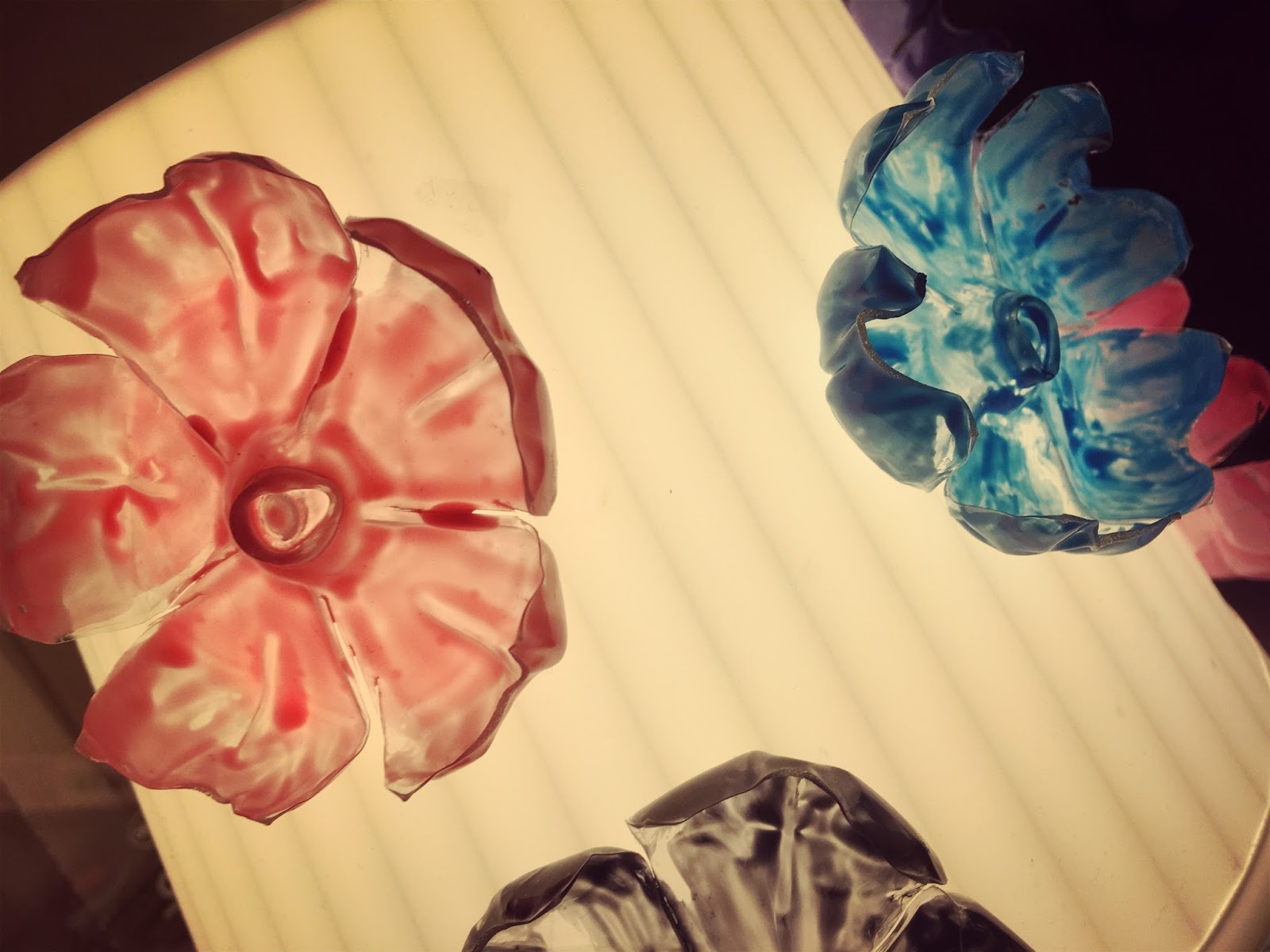 Reduce, Reuse, RecycleCSULA The Plastic Flowers