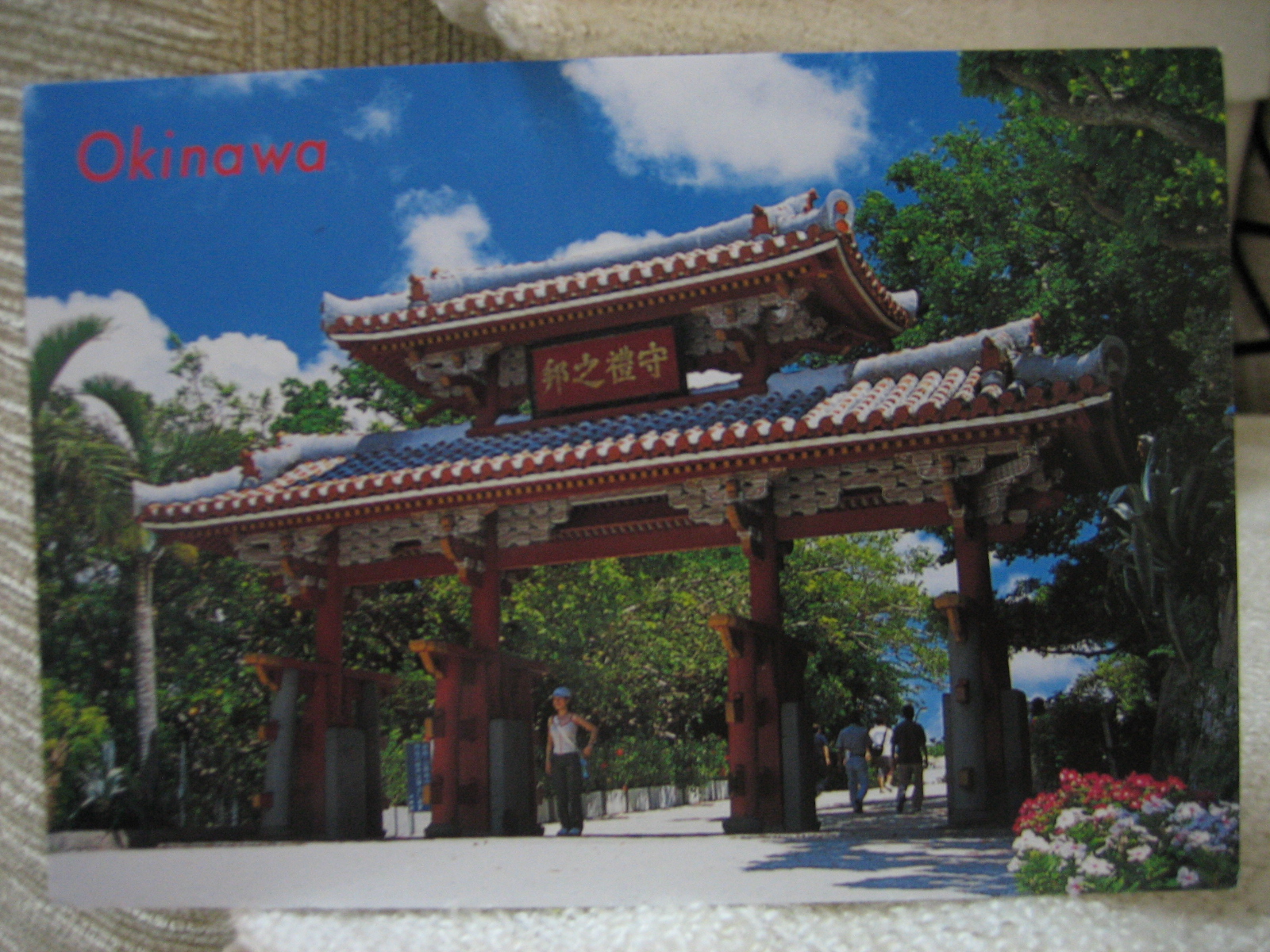 Maple Leaf Postcard from Okinawa, Japan