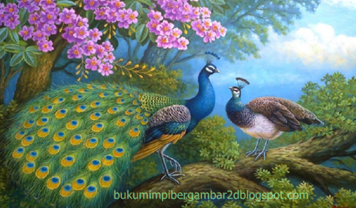 Unduh 93 Gambar 3d Burung Merak Terbaru Gratis