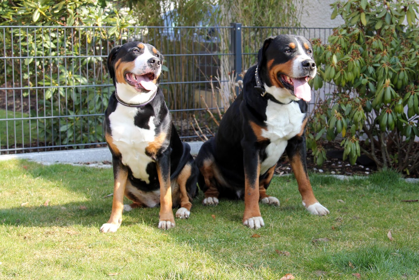 harambee-s-hulinaa-huhtikuuta-2016