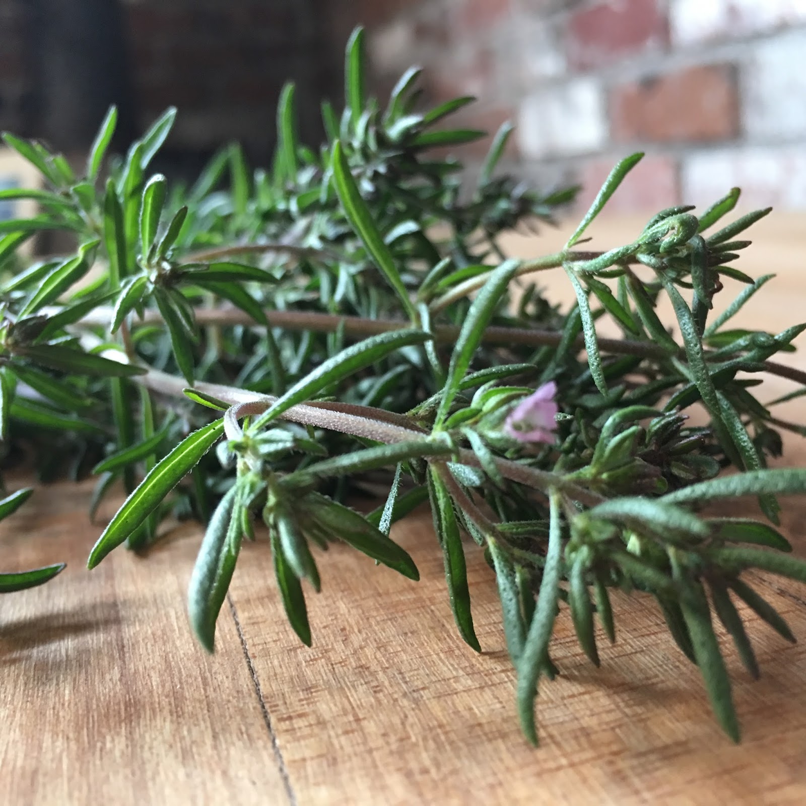 Recipe Rescue: 5 Easy Summer Savory Substitutes - hp8b5kf