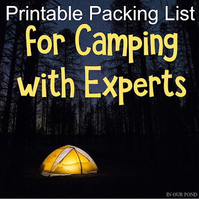 What to Bring When You're Camping with Experts // Free Printable Packing List // In Our Pond 