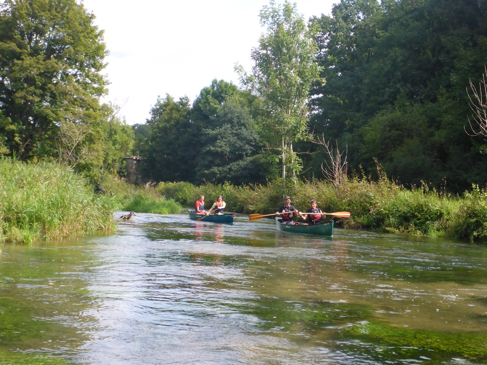 P A D D E L B L O G Nichtbaden in der Lauchert