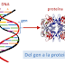 Curso Del ADN a la Proteína  - Tópicos en expresión, purificación y evaluación de proteínas recombinantes 03 y 04 de Noviembre de 2015
