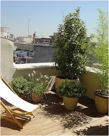 LA GUARIDA DE BAM: Terrazas al aire libre