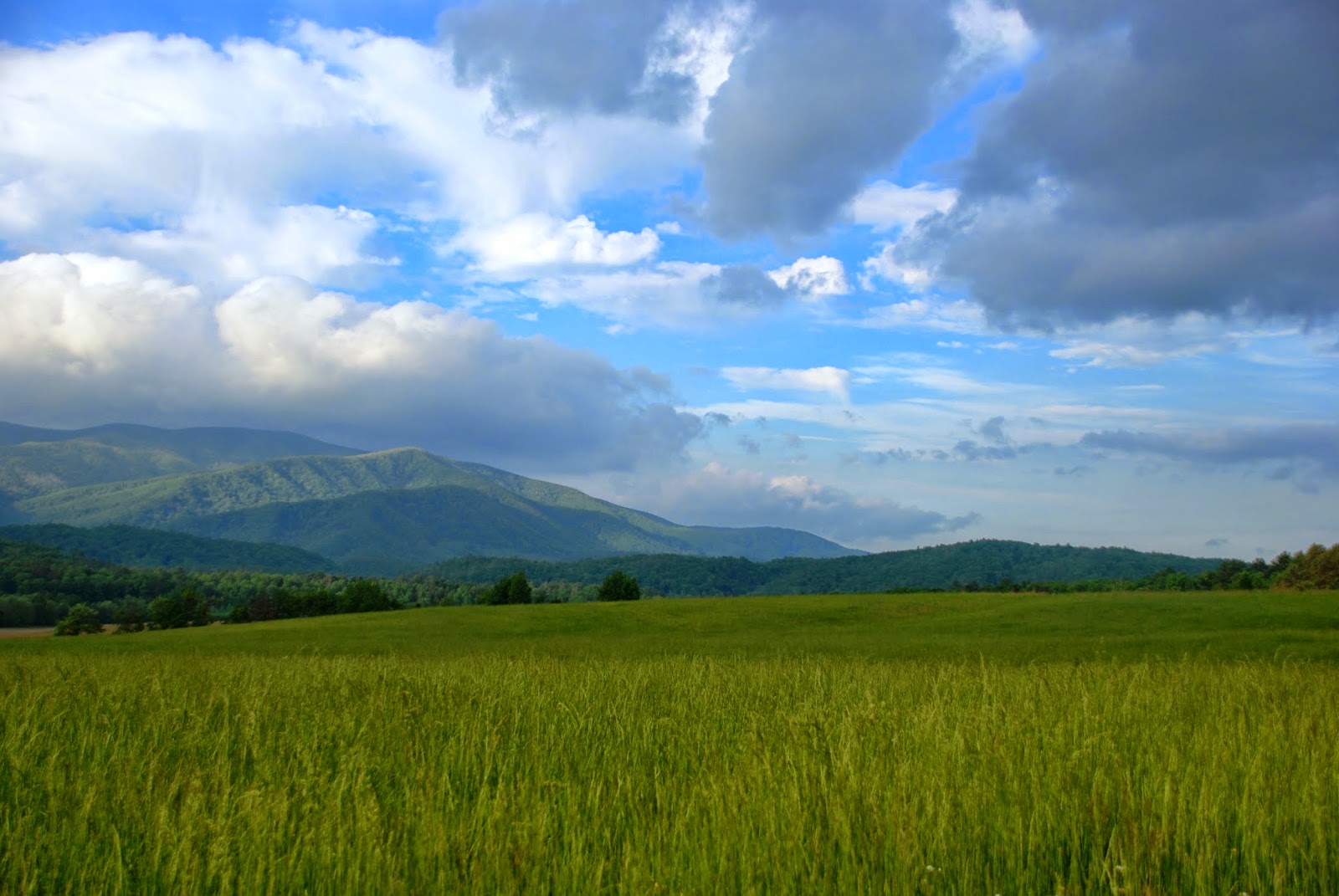 The Hiking Hokie Mount LeConte, Clingman's Dome, and Cades Cove