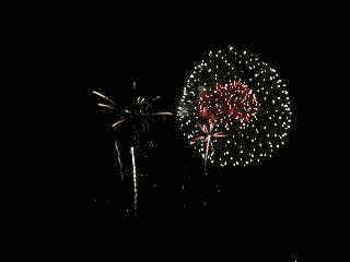Noodles logbook: Happy New Year!