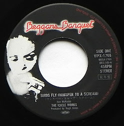 icicle works mcnabb ian