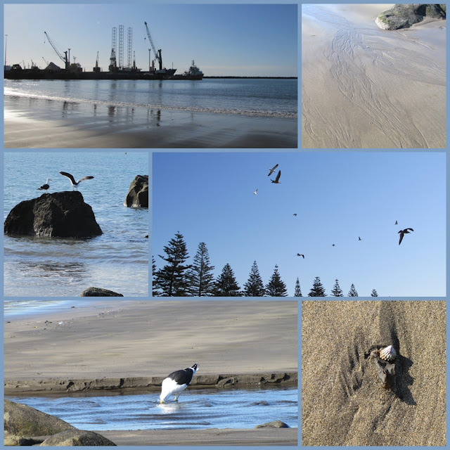 port-taranaki-nz-ngamotu-beach