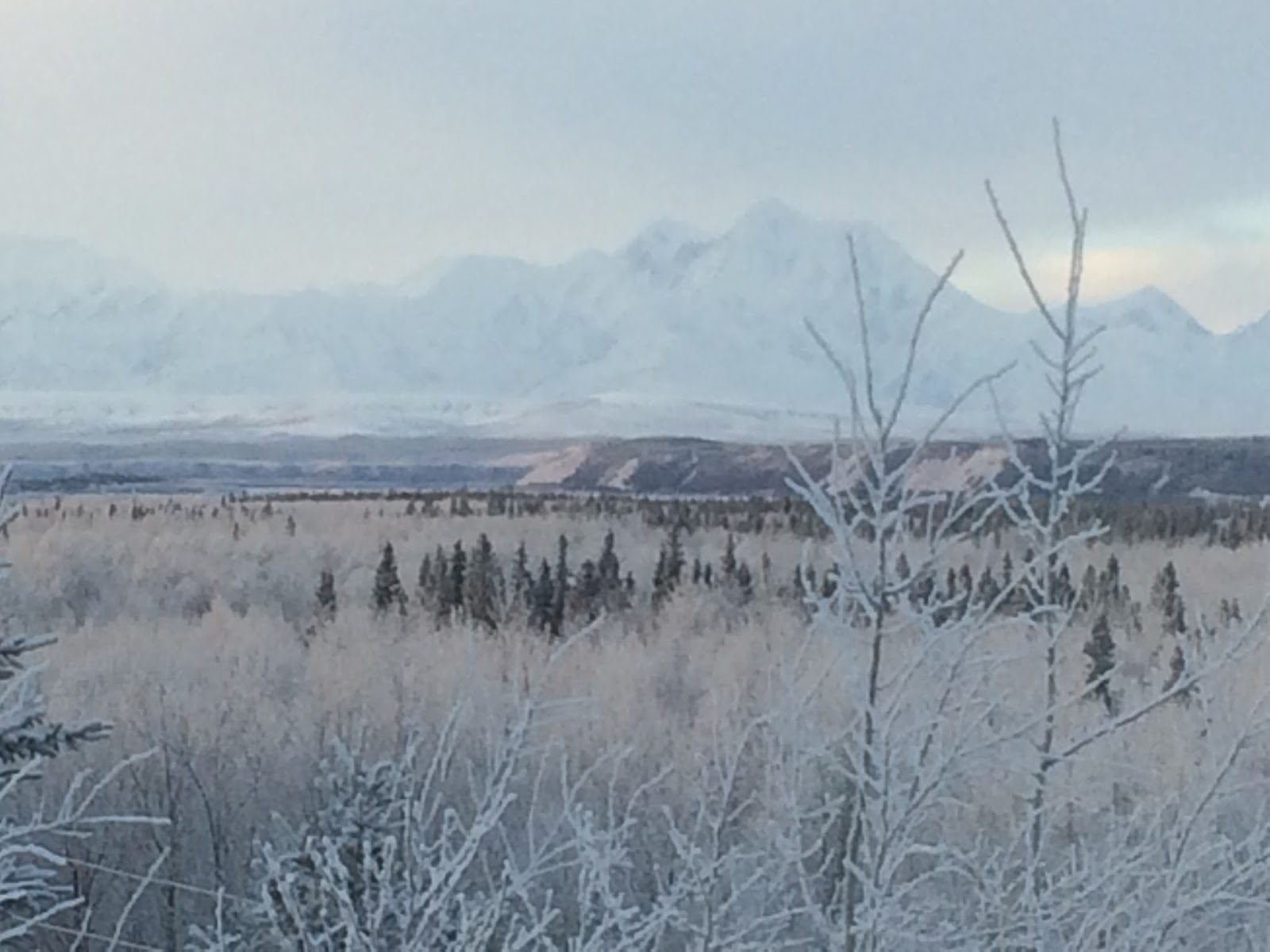 Not All Who Wander Exploring Delta Junction, AK