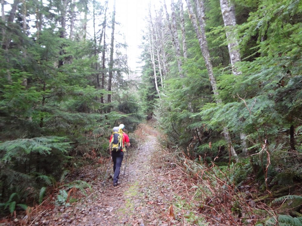 Hiking through the woods towards Brunswick Mountain