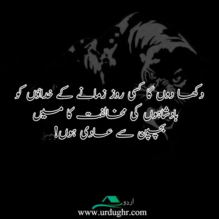 Attitude Quotes in Urdu Attitude Quotes in Urdu