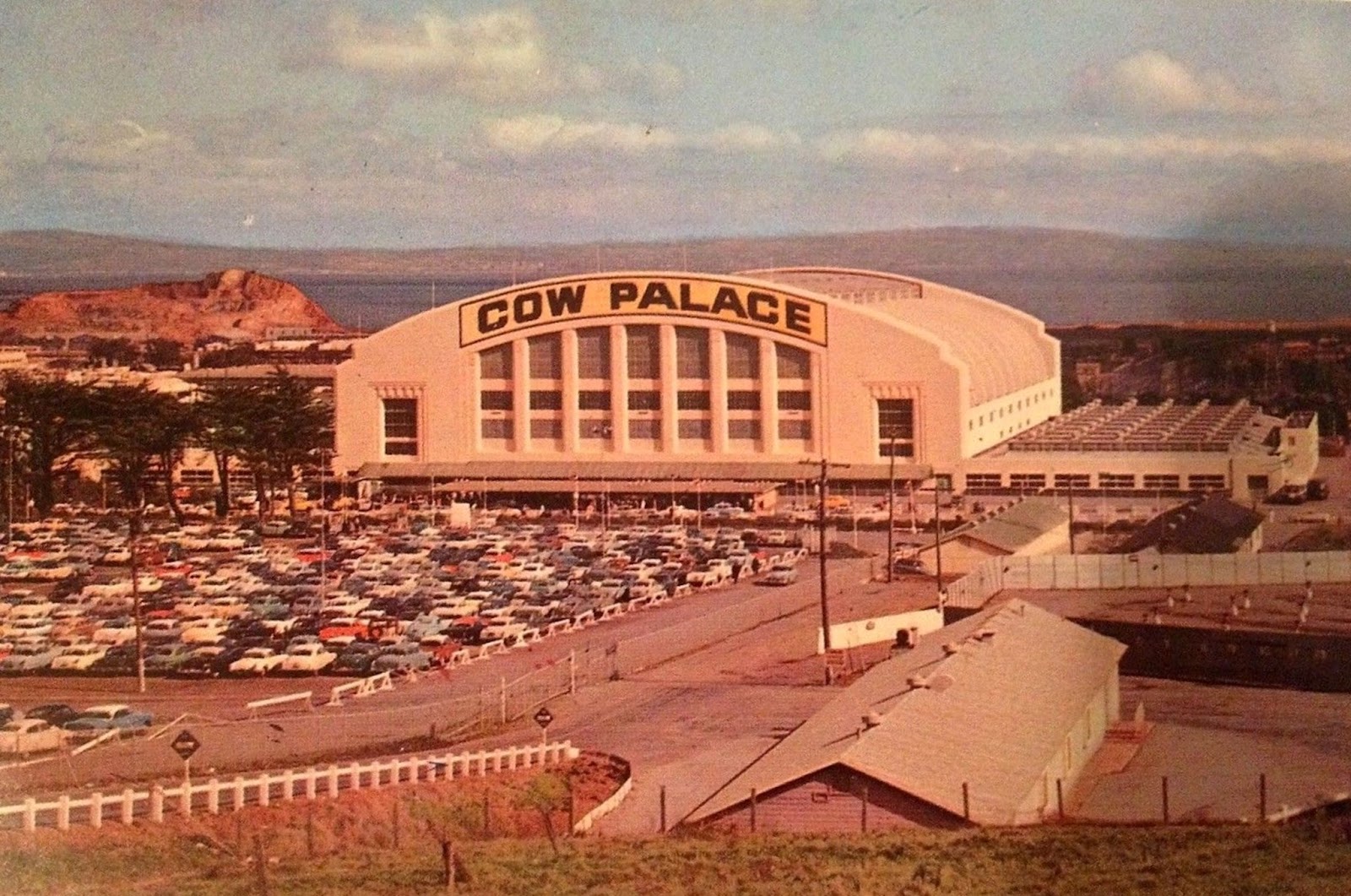 Forestdweller Cow Palace