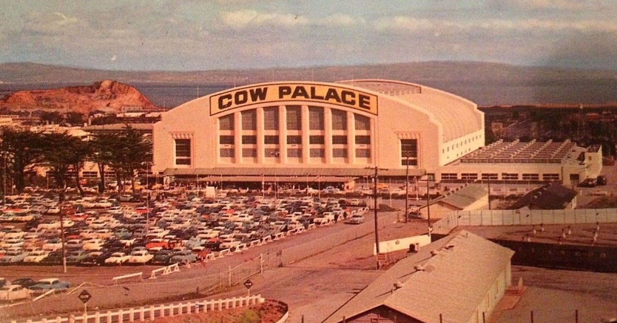 Forestdweller Cow Palace