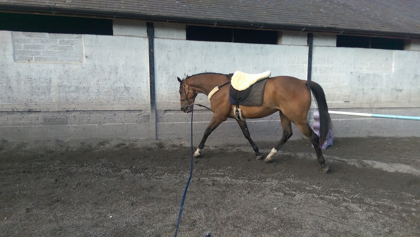 Simon Earle Racing August 2015