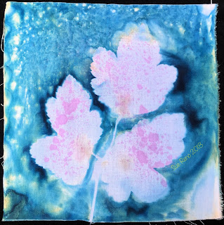 Wet cyanotype_Sue Reno_Image 356