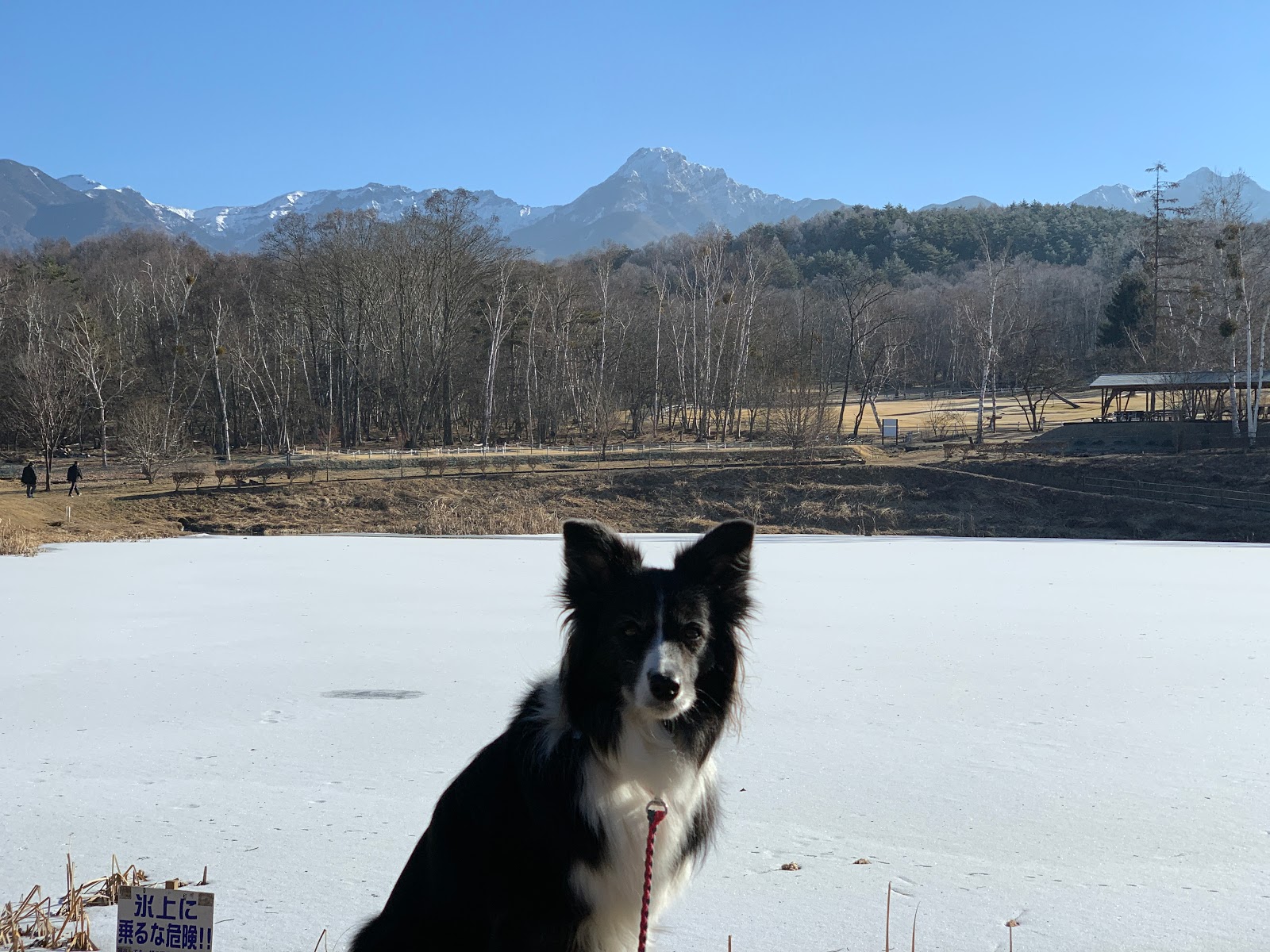 best zwift climbing wheels