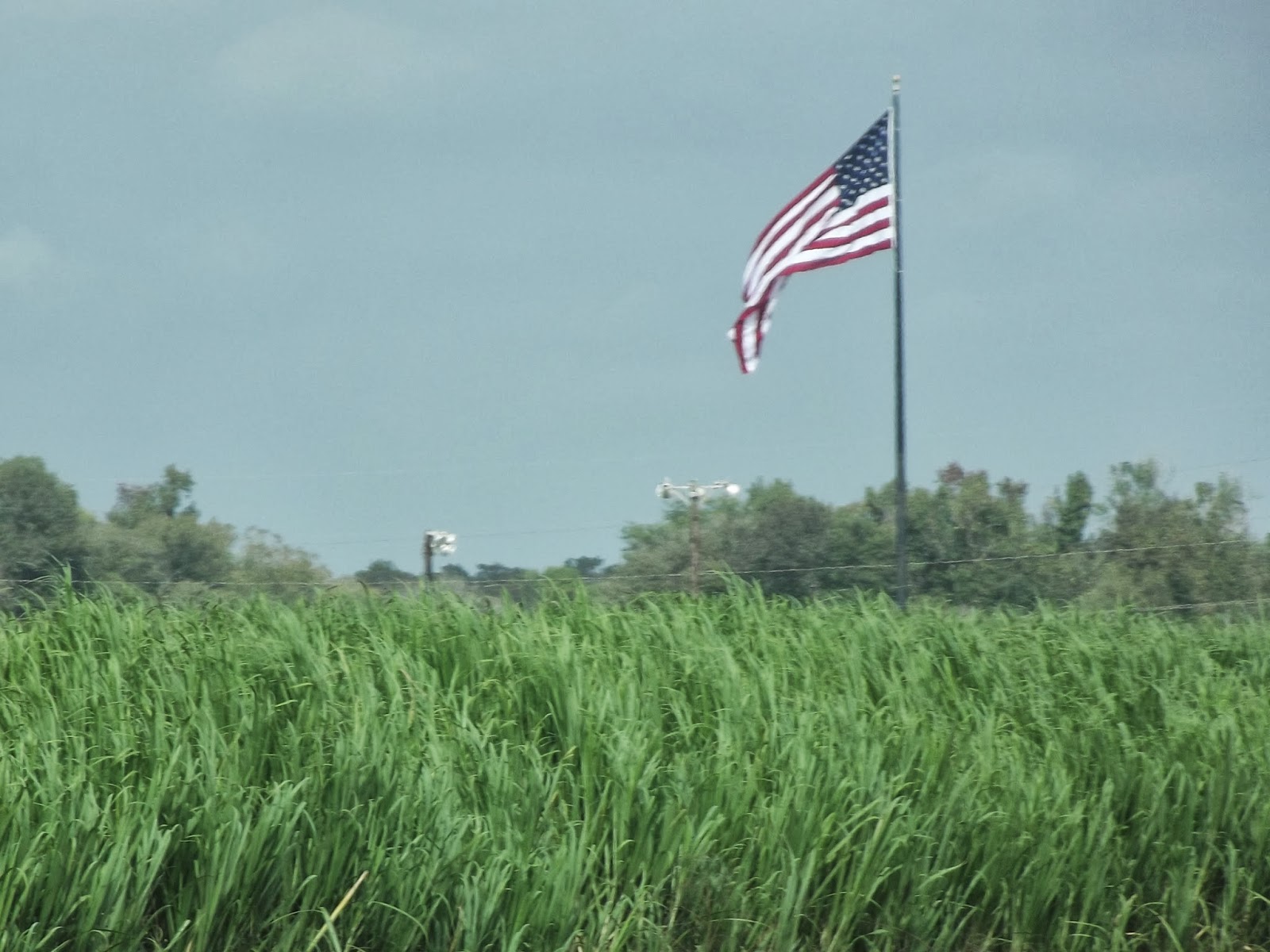 Hollywood Casino Rv Park Bay St Louis Mississippi