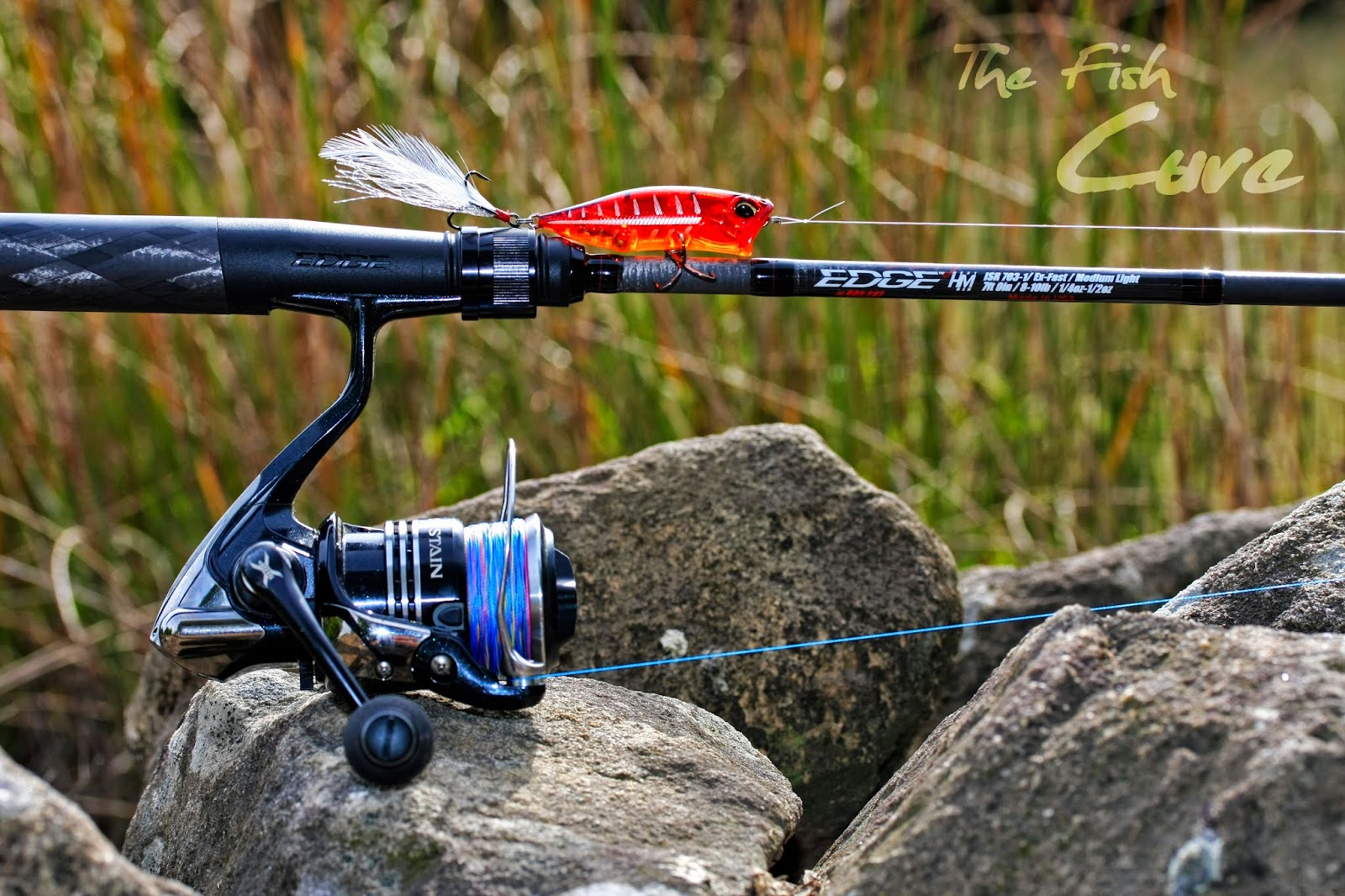 The Fish Cure MOVING FORWARD WITH EDGE RODS