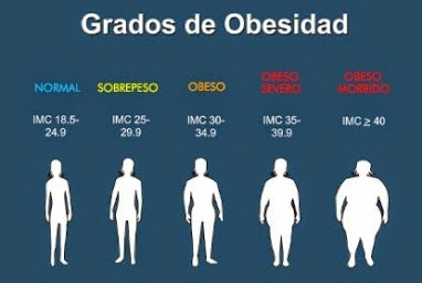 Vive sin Obesidad