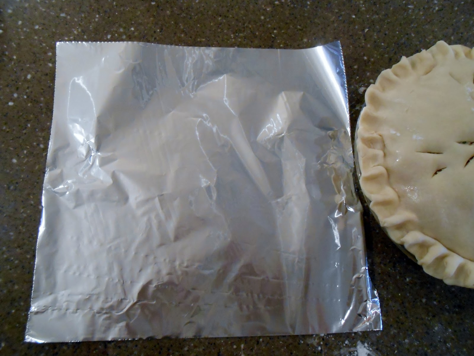 Snippets 'N Stuff Tip to Prevent Pie Crust Edges from Burning and Bonus Turkey Pie Recipe