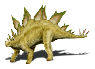 Paleoexhibit: How many Stegosaurs in the Morrison Formation?