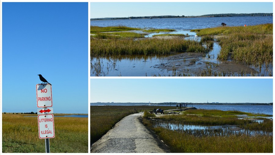 COTECAROLINEDUNORD COTECAROLINEDUNORD