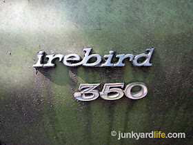 The green 1970 Firebird is a rare sight because of the low production numbers that year.