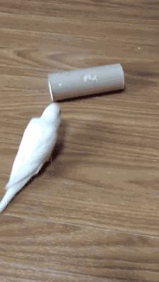 3.gif