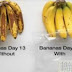 HERE’S HOW TO KEEP YOUR FRUIT FRESH AND UP TO 5 DAYS LONGER! (VIDEO)