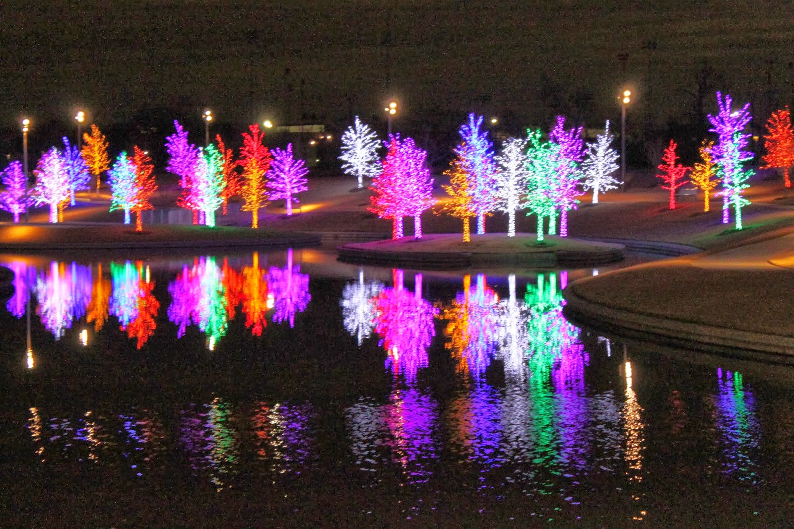 Nafisa's World Throwback Christmas lights in Vitruvian Park