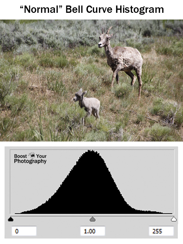 "Normal" Bell Curve Histogram | Boost Your Photography