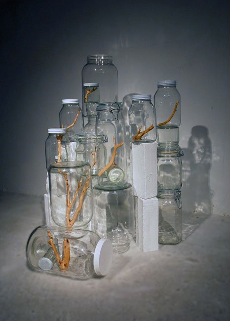 naoko ito instalação arte natureza urbana jarras de vidro potes galhos árvores