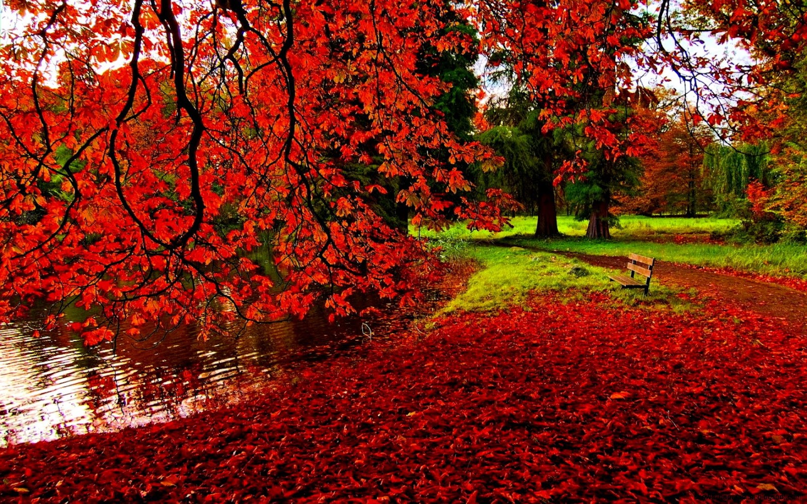 Fall Autumn Desktop Backgrounds