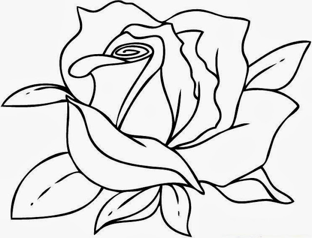  Flower Drawing Colour Drawing HD Wallpaper