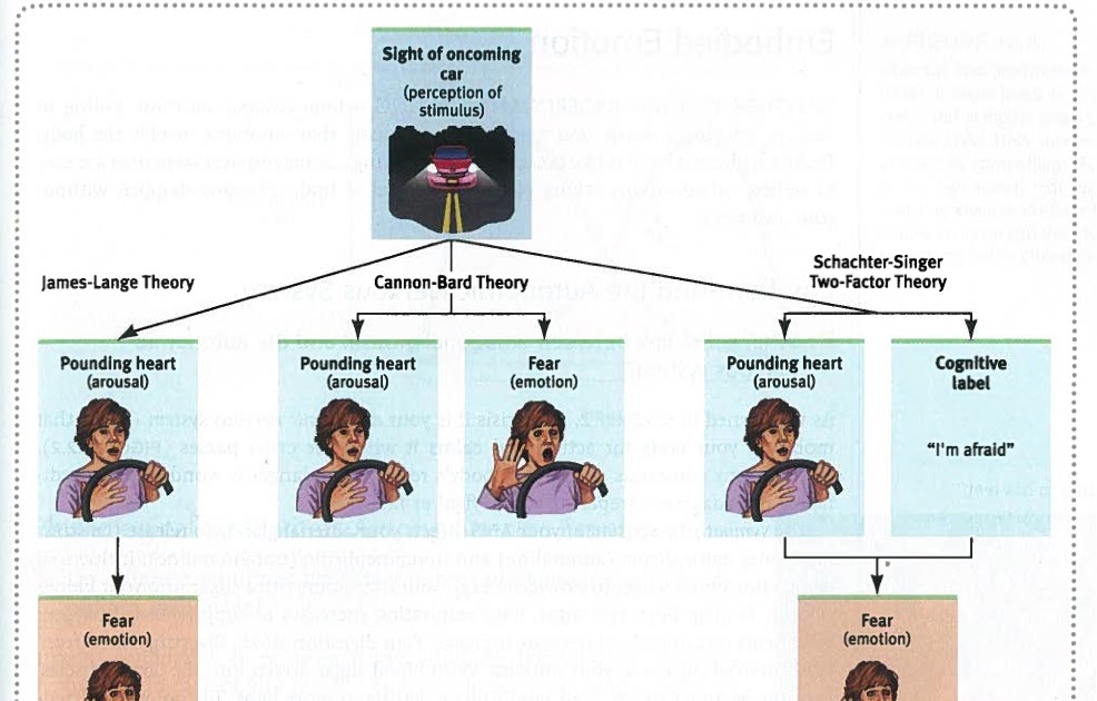 CBCP AP Psych Theories Of Emotion cbcp-ap-psych-theories-of-emotion