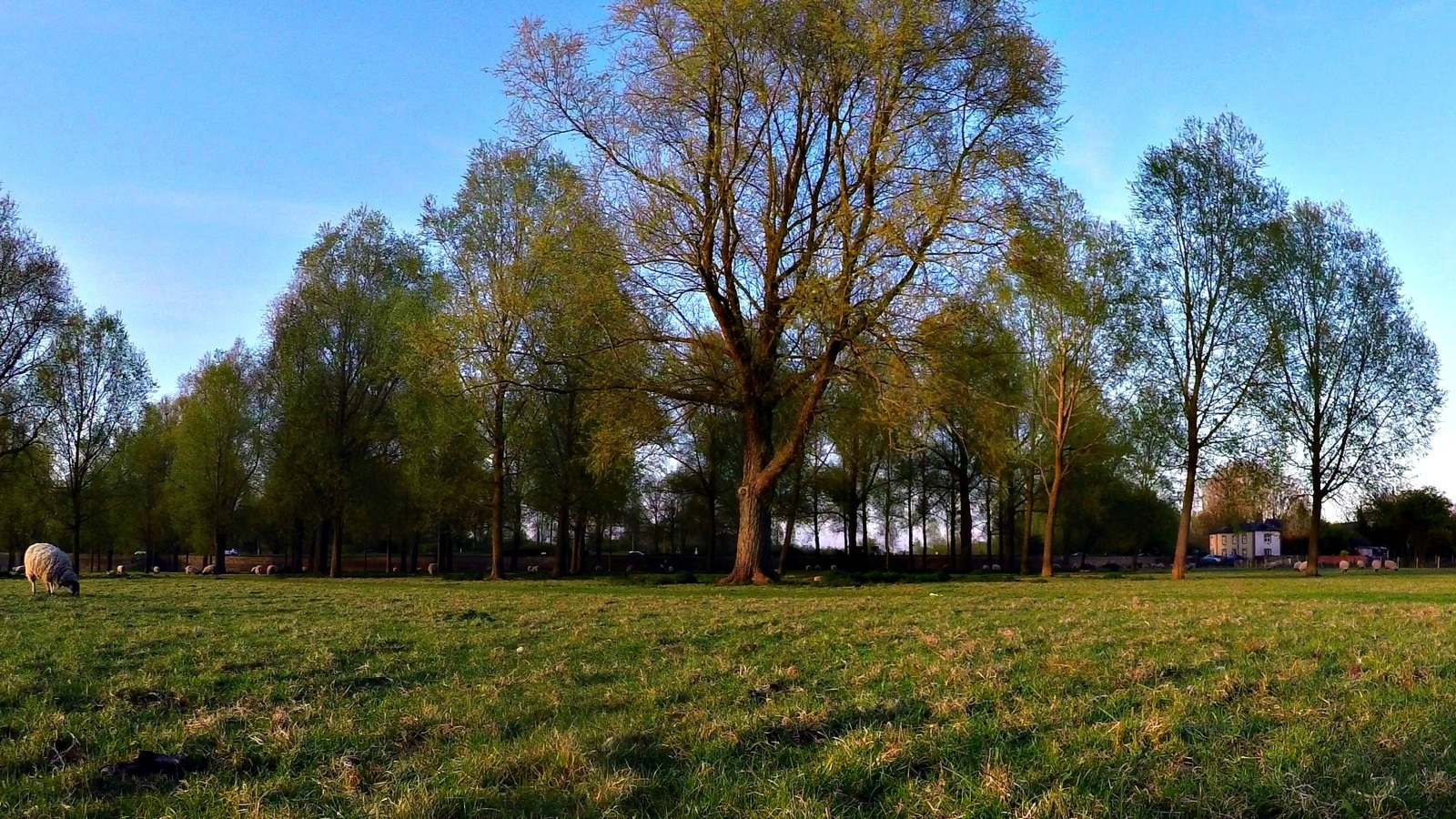 Stony Stratford a look around continued