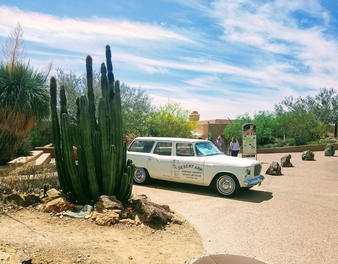 sonora desert museum entrance