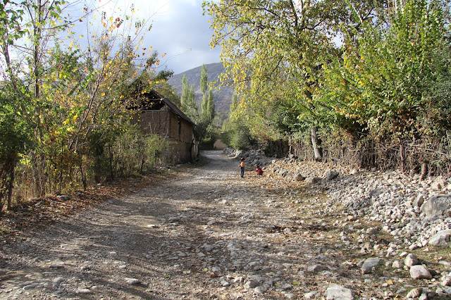 Kirghizistan, Arslanbob, © L. Gigout, 2012