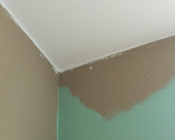 paint ceiling edge edges painting attention pay step very easy