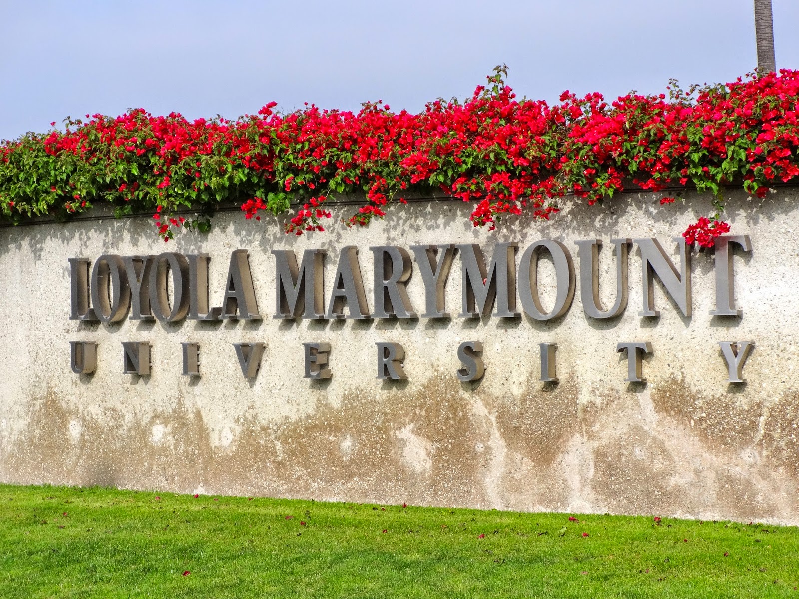 eatamarthacupcake: Loyola Marymount University