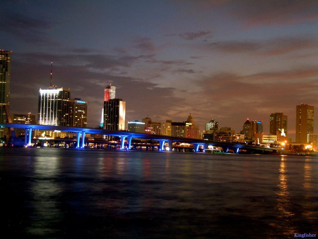 Miami-Night-miami-509542_1024_768.jpeg
