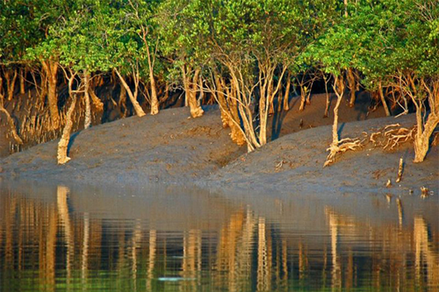 Национальный парк Сундарбан Бангладеш